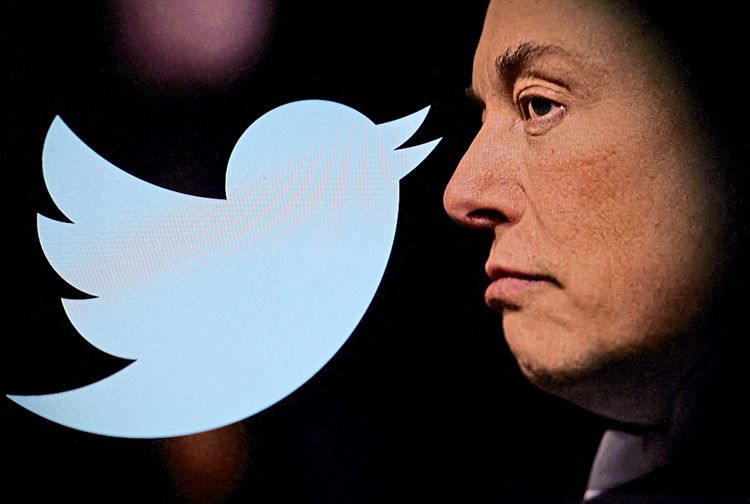 Das Twitter-Logo ist neben einem Foto von Elon Musk zu sehen