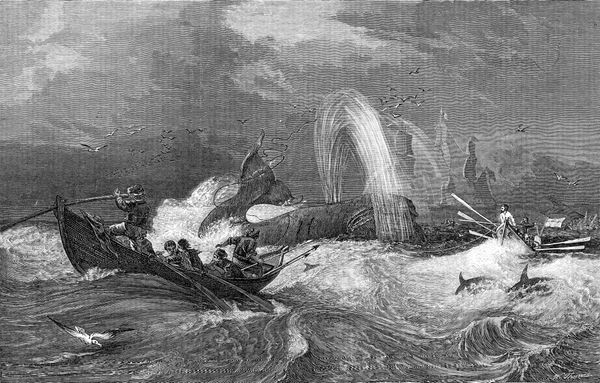 Von-Walf-ngern-Kleinkindern-und-chinesischen-Weintrinkern-Wie-Menschen-miteinander-kooperieren