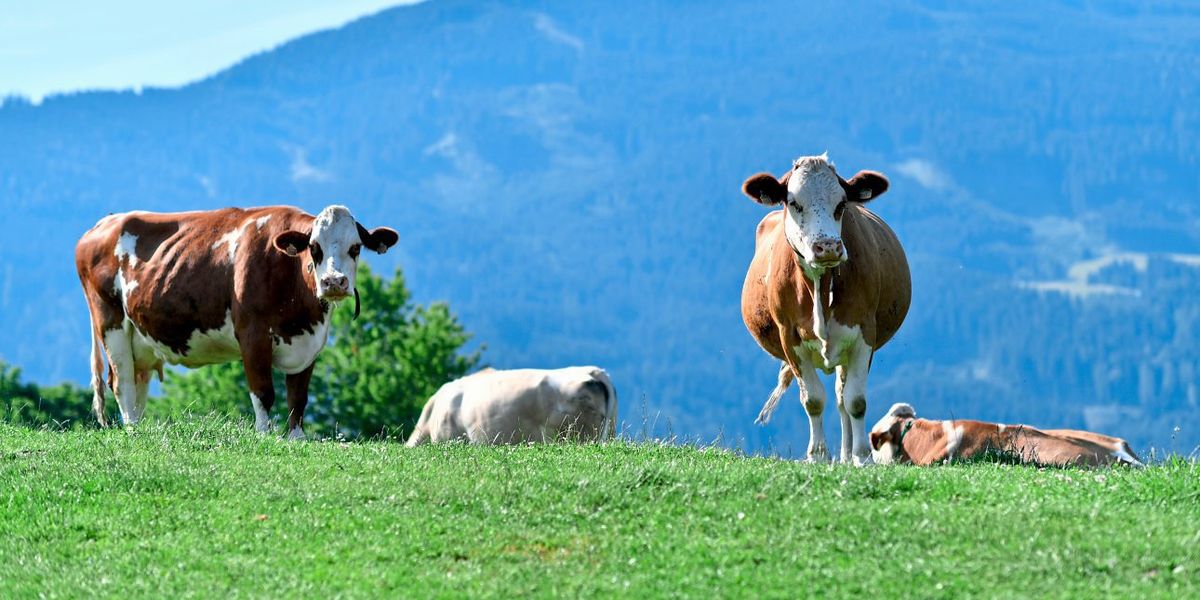 Vernetzte Chancen für Tourismus und Landwirtschaft - Digitalisierung