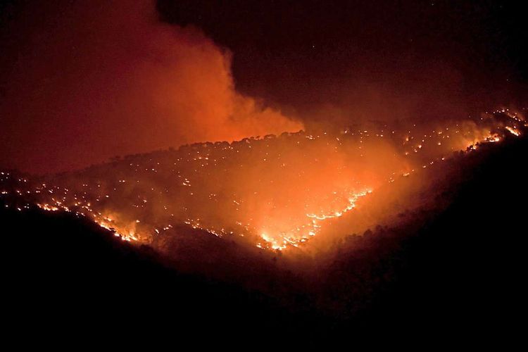 Griechenland, Waldbrände auf Insel Chios.
