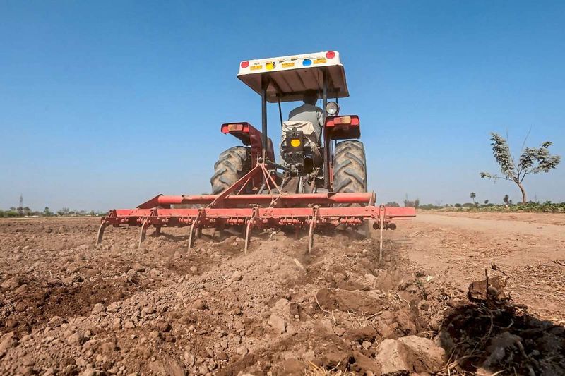 Klimawandel bedroht ein Drittel der globalen Nahrungsmittelproduktion