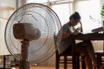 Mit und nicht gegen die Hitze arbeiten