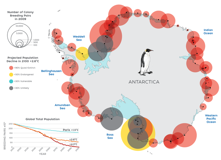 Grafik Aussterben Kaiserpinguine Antarktis