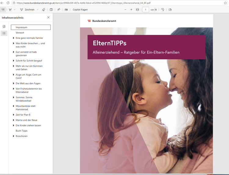 Screenshot der Broschüre