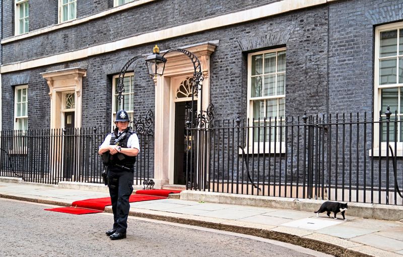 Palmerston, vormaliger "Chief Mouser" des britischen Außenministeriums, verstorben