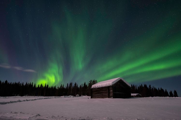 Einmal die Nordlichter, auch bekannt als Aurora borealis, zu sehen, war schon immer einer unserer größten Wünsche. Auf den Lofoten es uns gelungen sie zu fotografieren - es war ein spektakuläres Erlebnis. März 2023