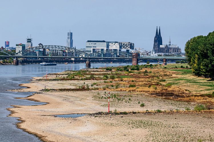 Blick von der Rodenkirchener Brücke auf den Rhein und die Skyline von Köln bei historischem Niedrigwasser. Das Flussbett ist größtenteils trocken, und der Wasserspiegel ist stark abgesenkt. Im Hintergrund sind der Kölner Dom, die Hohenzollernbrücke und die Kranhäuser zu sehen. Trockenes Ufer und Vegetation prägen den Vordergrund.