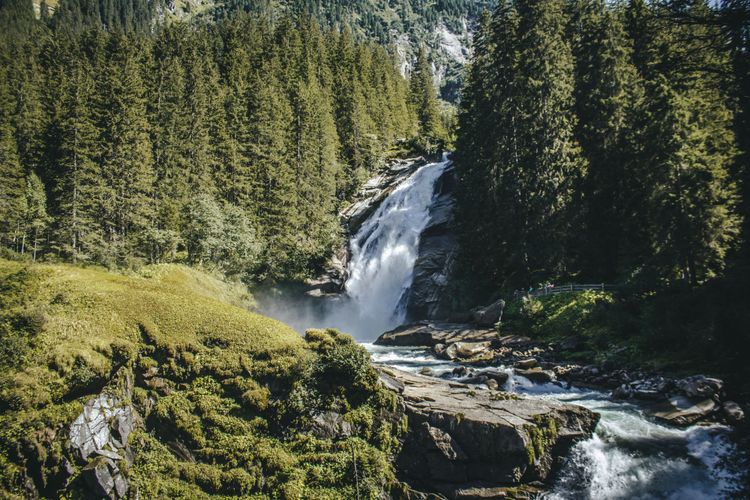 Wasser, das zwischen Bäumen den Berg herabstürzt