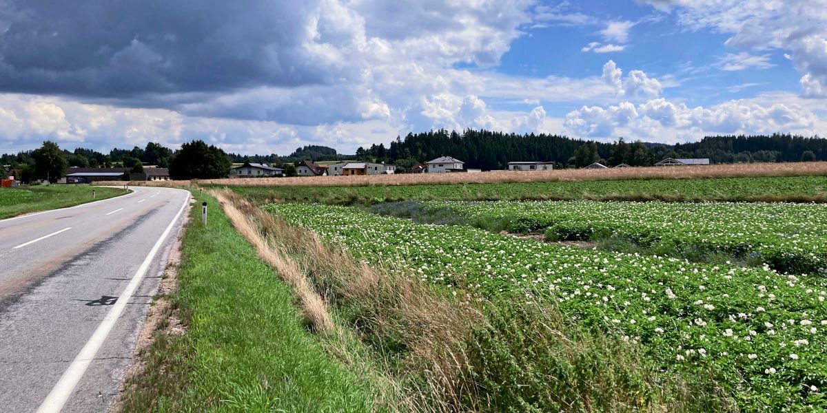Zwischen Wien und Waldviertel: Wenn sich zwei Orte nach "daheim" anfühlen