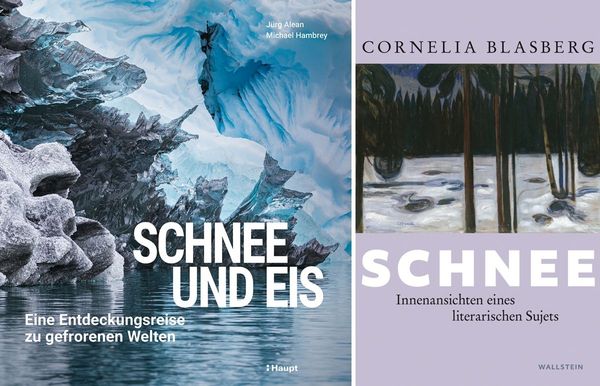 Kalte-Wunderwelten-naturwissenschaftliche-und-literarische-Sichtweisen