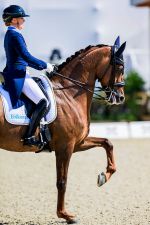 Pferde mit Blutspuren: Ist die Lockerung der "No-Blood-Rule" undemokratisch? 054ebcca ce38 45b8 ace1 8b57196318c8