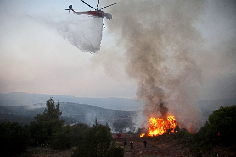 In einem Wald tobt ein Feuer. Ein Hubschrauber schüttet Wasser hinunter.