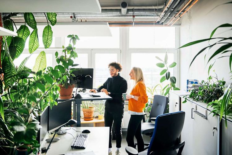 Ein Mann und eine Frau in einem mit Pflanzen ausgestatteten Büro an einem Standing Desk