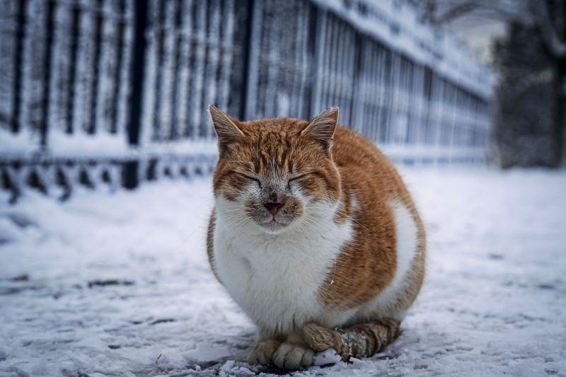 Frostige Nächte: Das Wetter wird wechselhaft und unbeständig