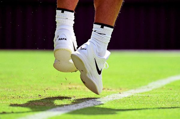 Wimbledon-von-A-bis-Z-Erdbeeren-S-gras-und-ein-Habicht-namens-Rufus