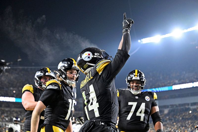 NFL-Play-off fixiert: Steelers lösen letztes Ticket
