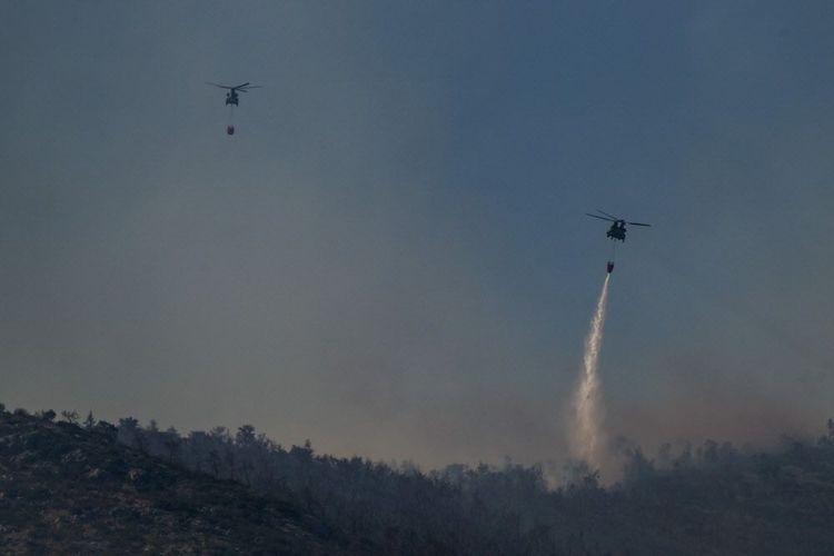 Waldbrand in der griechischen Region Parnitha.