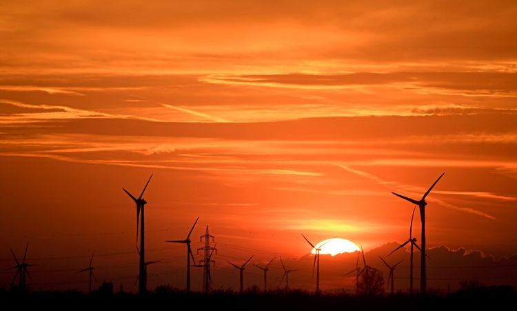 Niederösterreich plant Ausbau von Windkraft und Photovoltaik -  Niederösterreich -  › Inland