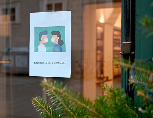 Foto: apa / barbara gindl