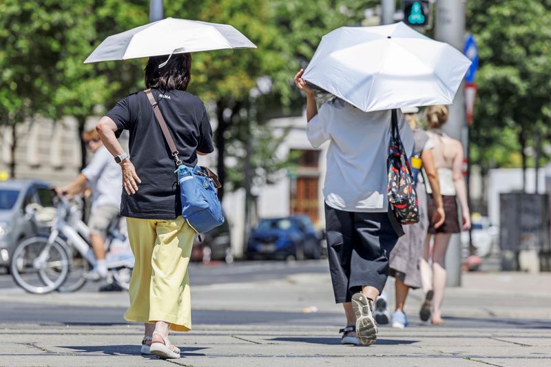 Gegen eine politische Klimawandel-Lösung - was ist euer persönlicher Plan?