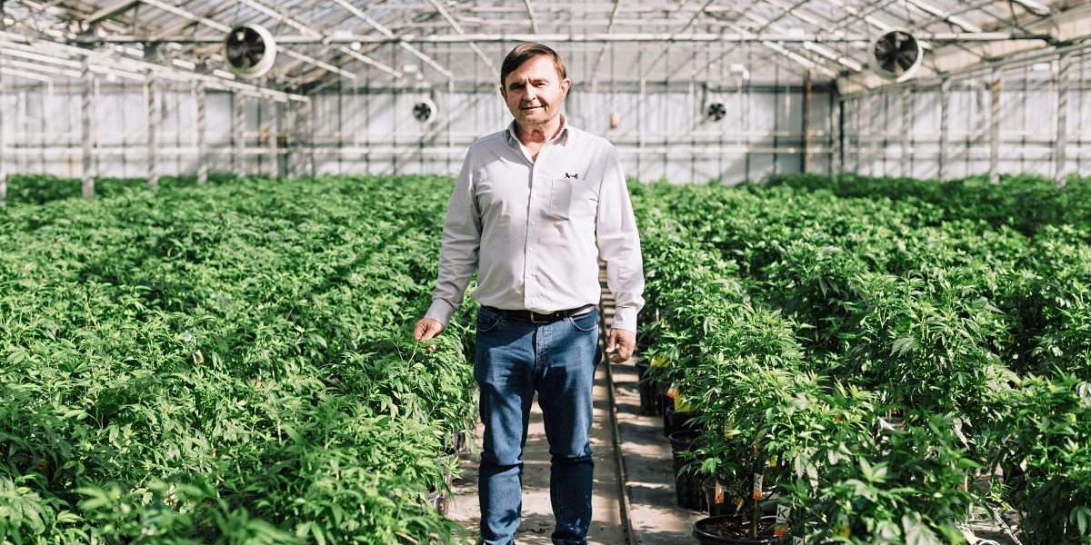 Hanfama-Gründer: "Österreich könnte mit Cannabis das Pensionssystem finanzieren"