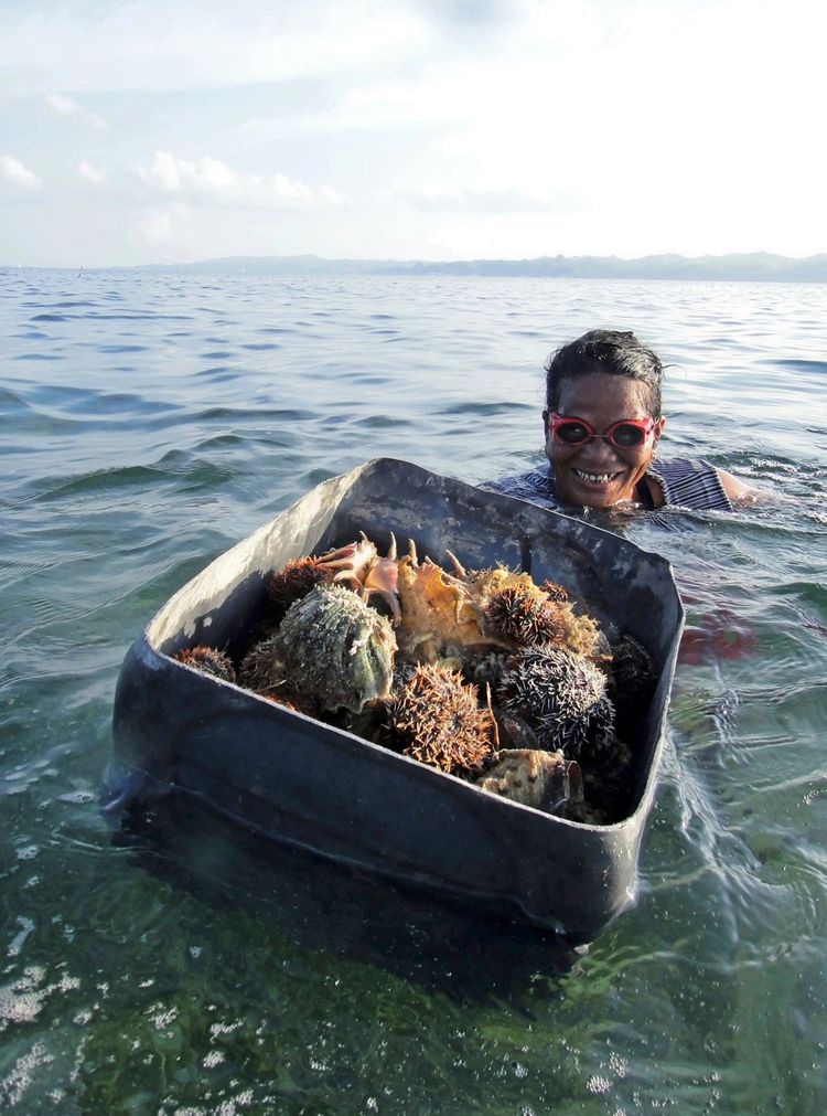 Eine Person mit roter Brille taucht teilweise im Wasser auf und hält einen Behälter, gefüllt mit verschiedenen Schalentiere und anderen Meerestieren. Im Hintergrund ist das offene Meer und eine entfernte Küstenlinie zu sehen.