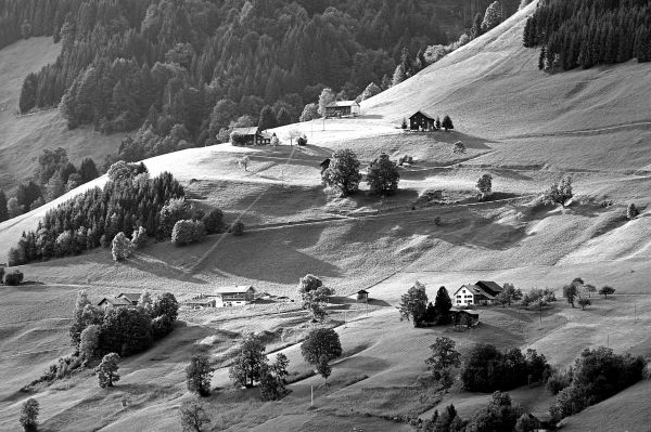 Alpenfestival-Walserherbst-schl-gt-Br-cken