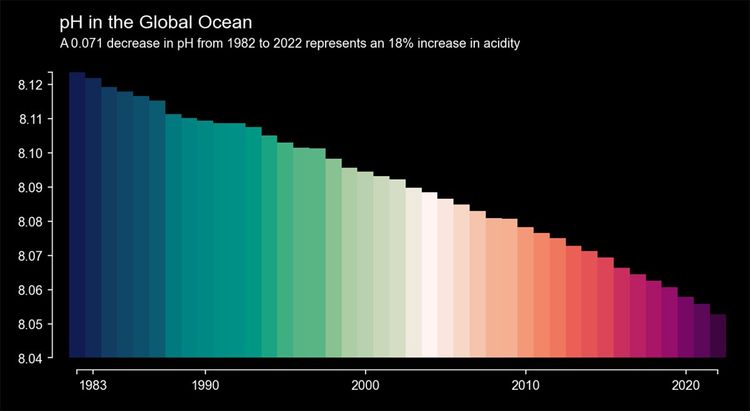Ozeane, Versauerung, menschengemacht, CO2-Emissionen
