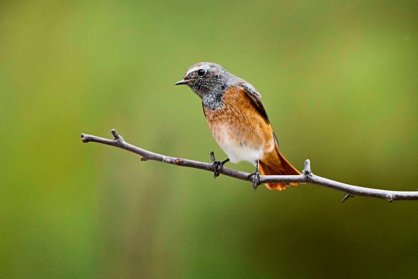 Nachhaltige-Investments-und-ihre-Chancen