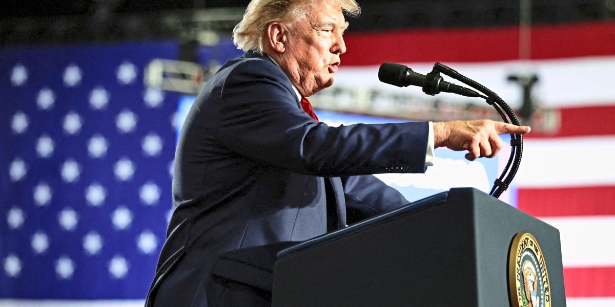 Trump verbietet bestimmte ausländische Technik im US-Stromnetz