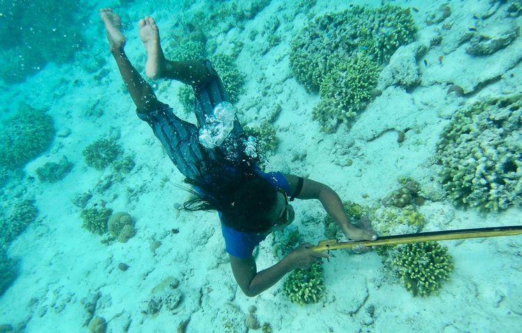 Eine Sama-Bajau-Taucherin fischt im flachen Wasser über Korallenriffen. Sie trägt eine handgefertigte Taucherbrille aus Holz und verwendet keine weitere Freitauchausrüstung.