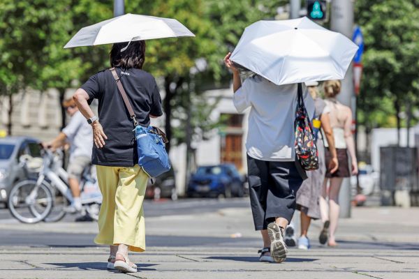Gegen-eine-politische-Klimawandel-L-sung-was-ist-euer-pers-nlicher-Plan-