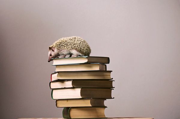 Was-muss-man-gelesen-haben-welche-aktuellen-Bestseller-empfehlt-ihr-