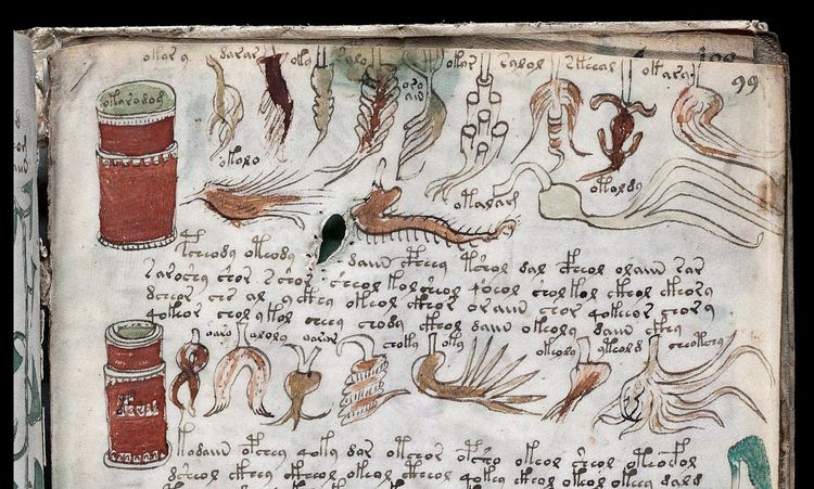 Neue Spur im Rtsel um das geheimnisvolle Voynich-Manuskript - Zeit -  derStandard.de  Wissen und Gesellschaft