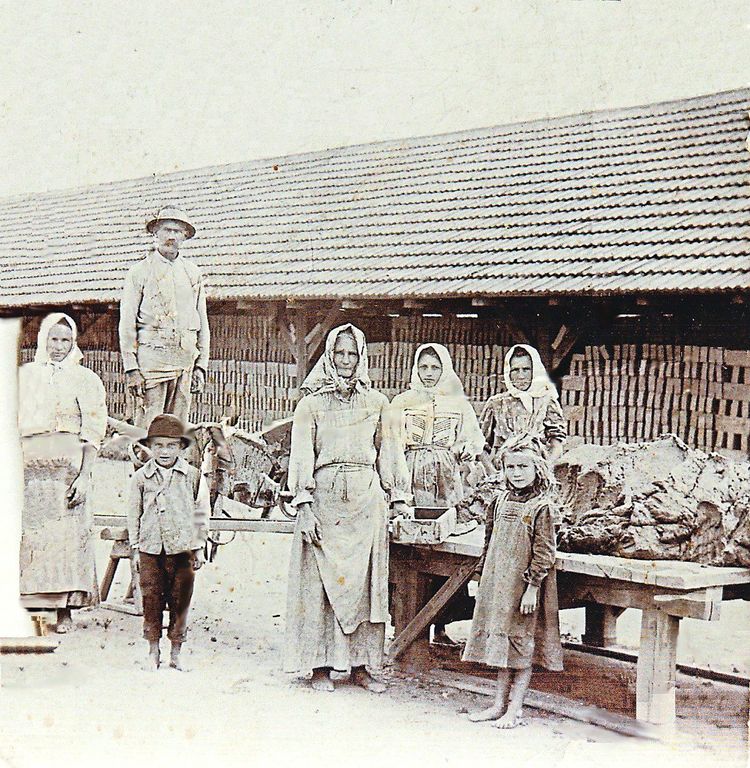 Auf dem historischen Bild steht eine Familie, Mann, mehrere Frauen und Kinder, es sind ehemalige Vösendorfer Ziegelarbeiter und Ziegelarbeiterinnen.