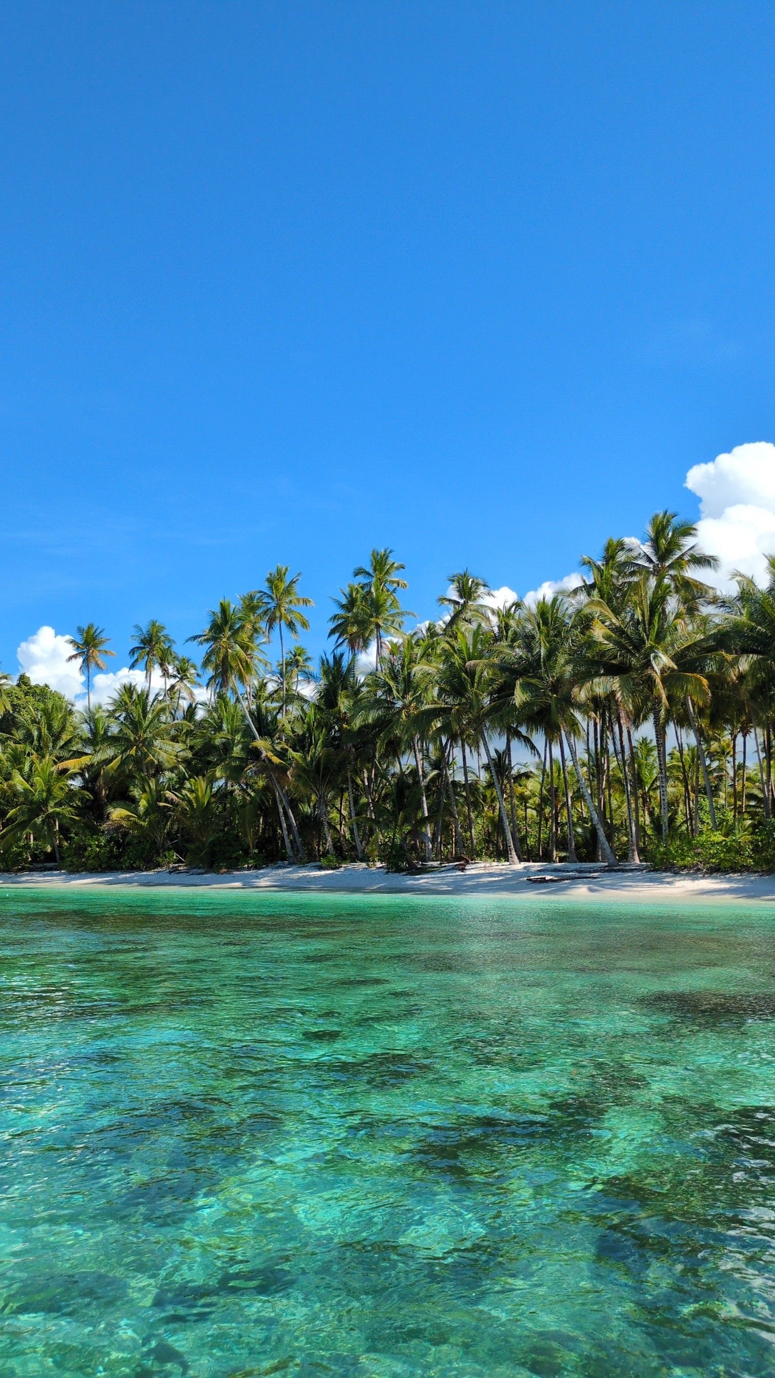 Klares Meerwasser vor Insel mit Palmen und Sandstrand, blauer Himmel