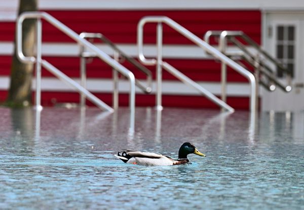 Wiener-B-der-f-hren-Monatskarte-f-r-Schwimmhalle-und-Freibad-ein
