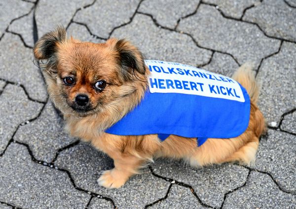 -Heute-ist-nicht-aller-Tage-ich-komme-wieder-keine-Frage-2025-in-Zitaten