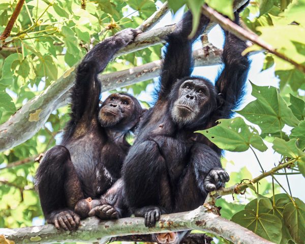 Foto: Helmut Spudich