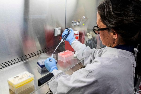 hantavirus-ausbruch-laut-who-beendet