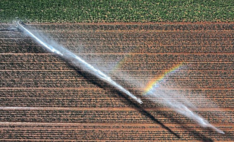 Luftaufnahme brauens Feld, das bewässert wird, kleiner Regenbogen ist sichtbar