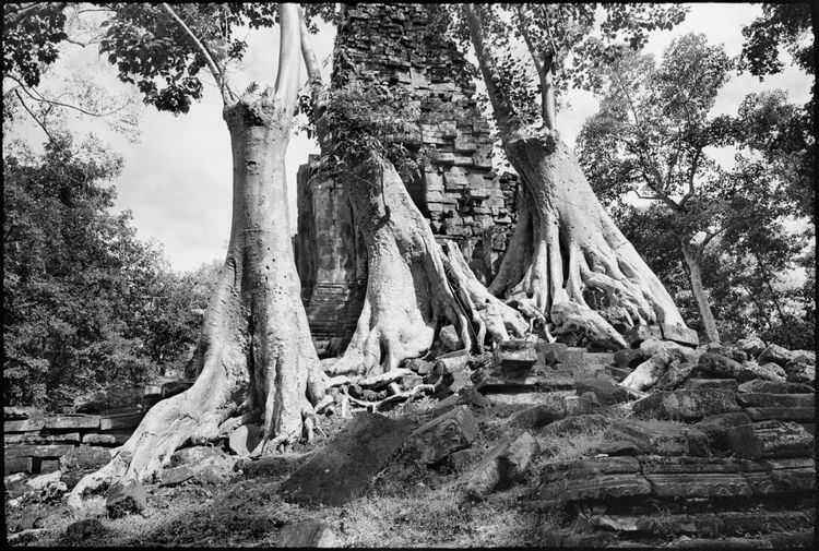 Preah Pilalay, Angkor Wat, Kambodscha