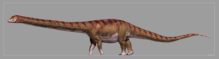 Größte zeiten der dinosaurier aller Dinosaurier: Größter
