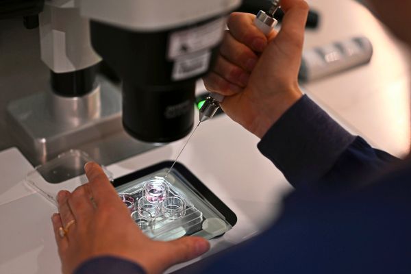 Renommierte-europ-ische-F-rderpreise-f-r-neun-in-sterreich-t-tige-Forschende