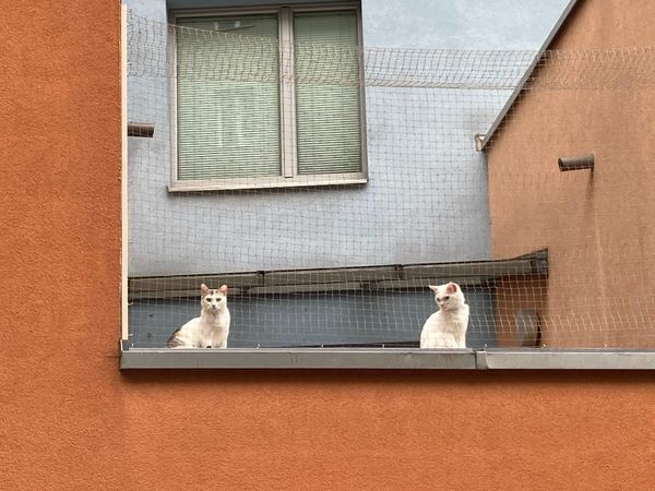 Antiklotz-gesucht-Warum-schauen-heute-alle-Wohnbauten-gleich-aus-