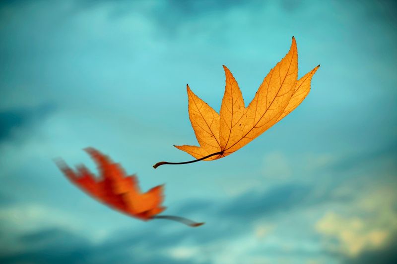 Geht’s nur mir so? Niedergeschlagenheit im Herbst