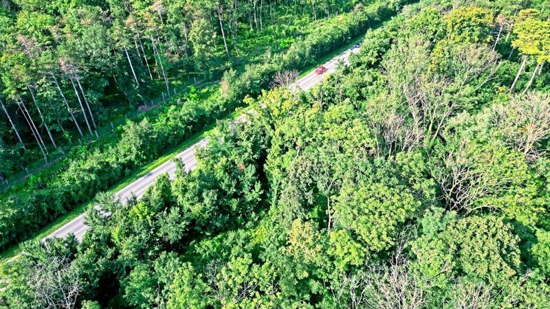 Wie der Klimawandel Österreichs Wäldern zusetzt