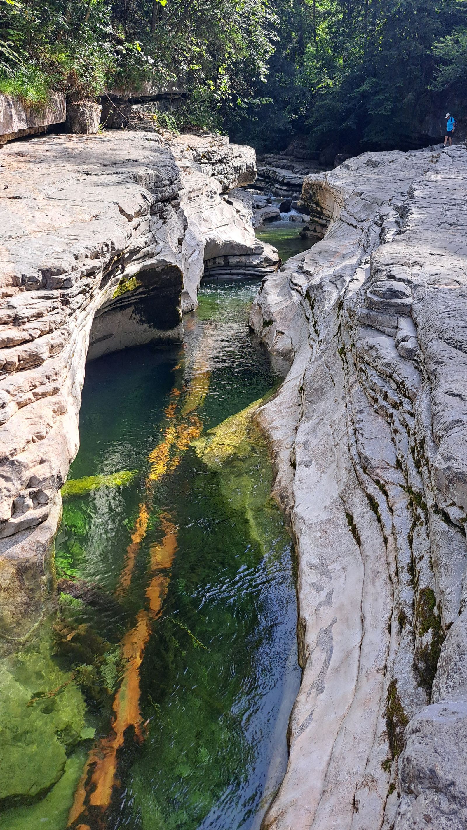 Wasserlauf, der sich tief in den Felsen eingeschnitten und eine Schlucht gebildet hat.