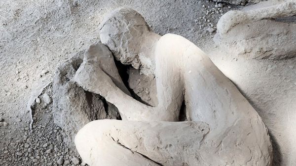 Eines-der-Vulkanopfer-aus-Pompeji-konnte-als-Arzt-identifiziert-werden