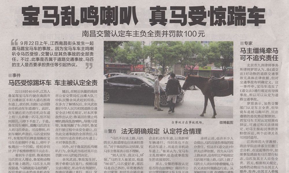 Ein Sack Reis fällt in China um oder: Pferd tritt BMW - Weltchronik -   › Panorama